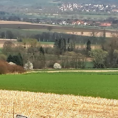 Zur Schoenen Aussicht Hamelin Kültér fotó