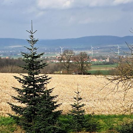 Zur Schoenen Aussicht Hamelin Kültér fotó